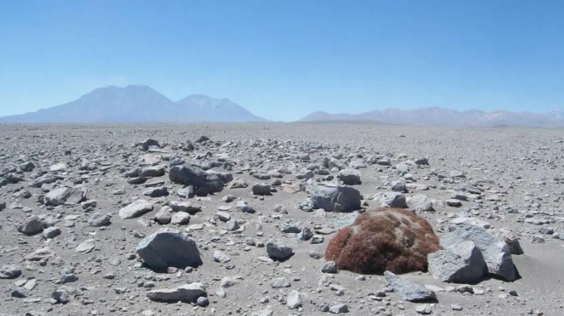 Tribunal Ambiental rechaza demanda contra parque eólico Ckhúri por falta de pruebas de daño arqueológico