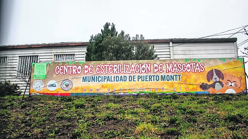 Con acción judicial buscan desalojar cuatro viviendas desde un terreno municipal en Puerto Montt