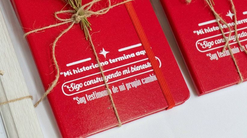 Programa Ambulatorio Intensivo de Llanquihue celebró a usuarios que han avanzado en sus tratamientos contra drogas