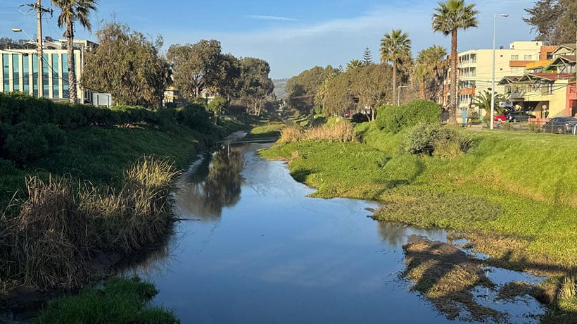 Ministra Rojas anuncia protección para el Estero Reñaca tras ser reconocido como humedal urbano