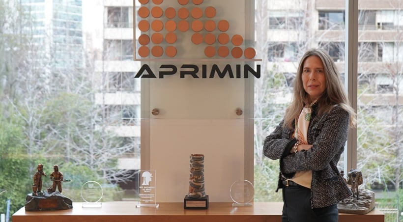 Paula Frigerio es designada gerenta general de la Asociación de Proveedores Industriales de la Minería (Aprimin) Paula Frigerio es designada gerenta general de la Asociación de Proveedores Industriales de la Minería (Aprimin)