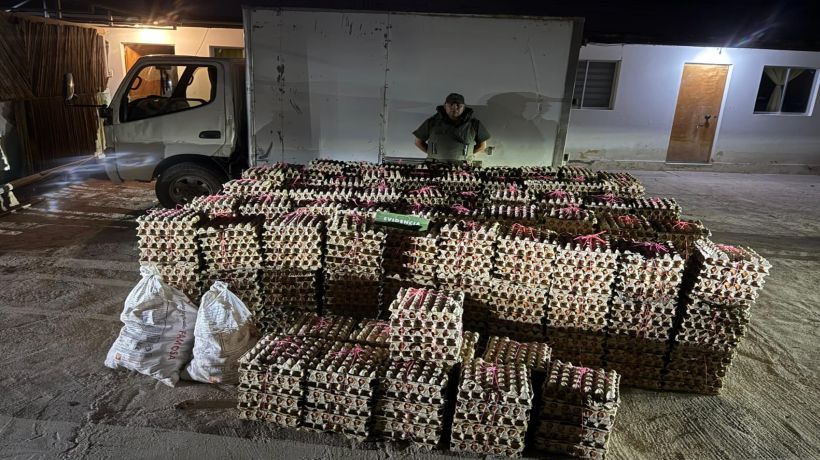 Decomisan más de 28 mil unidades de huevos en la Región de Tarapacá Decomisan más de 28 mil unidades de huevos en la Región de Tarapacá