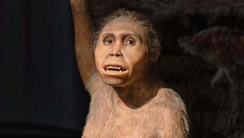 No todos los humanos vendrían de Lucy: hallan una nueva especie No todos los humanos vendrían de Lucy: hallan una nueva especie