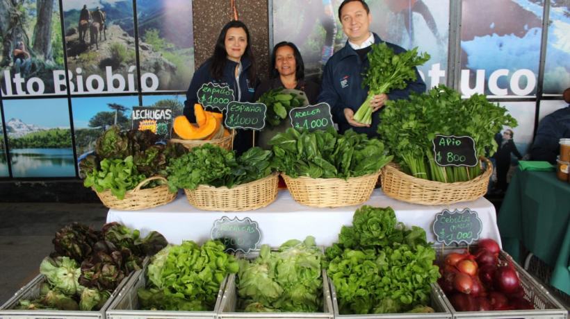 Feria Campesina Biobío tiene nueva ubicación en Los Ángeles