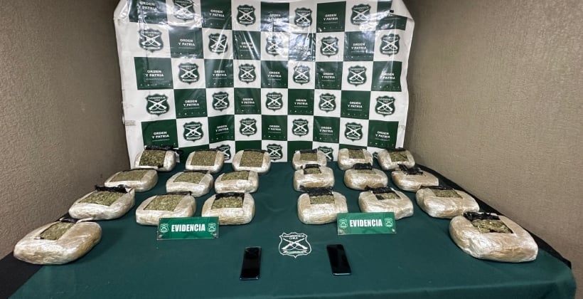 Carabineros incautó casi 50 kilos de marihuana en operativos realizados en la Ruta 5 Norte