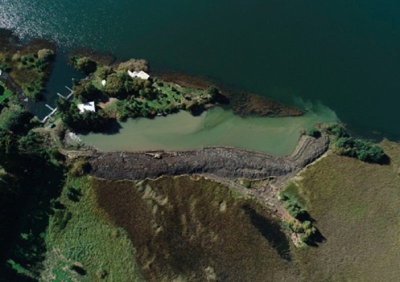 Corte Suprema revoca sentencia del Tribunal Ambiental y ordena a particulares reparar daño ambiental en humedal de Isla Teja Sur