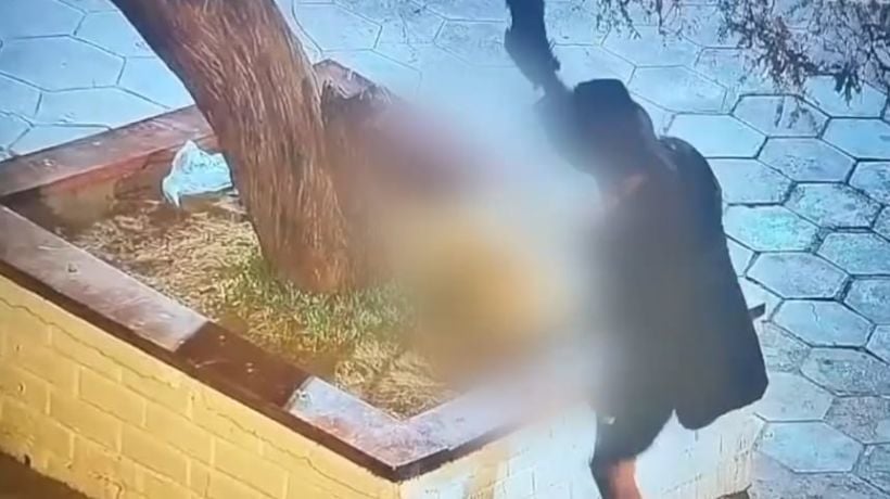 [VIDEO] Captan a sujeto que golpeó a su perro en el pueblo de La Tirana: quedó con arraigo nacional y firma mensual