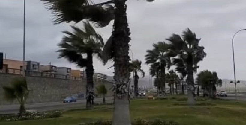 Fuertes vientos dejan postes caídos, cortes de energía y 'tacos' por semáforos fuera de servicio en Antofagasta Fuertes vientos dejan postes caídos, cortes de energía y 'tacos' por semáforos fuera de servicio en Antofagasta