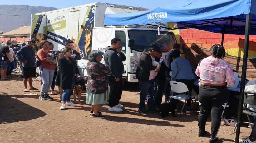 Atendieron a centenar de mascotas en Chanavayita al sur de Iquique Atendieron a centenar de mascotas en Chanavayita al sur de Iquique