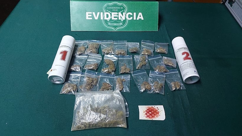 Capturaron en flagrancia a jóvenes por microtráfico en Dalcahue y Queilen
