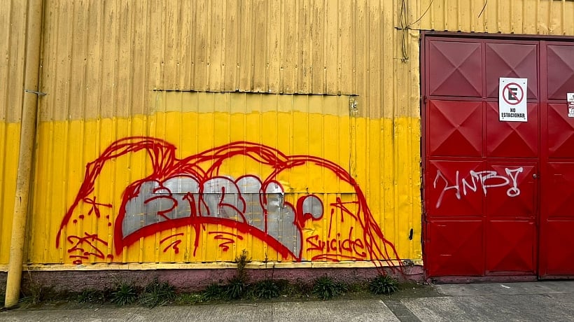 Se querellan por rayados en la Zona Típica del Barrio Puerto de Puerto Montt