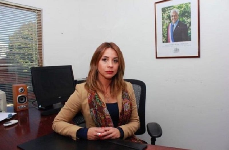 UDI nacional explica candidatura de ex seremi Ann Hunter a la Cámara