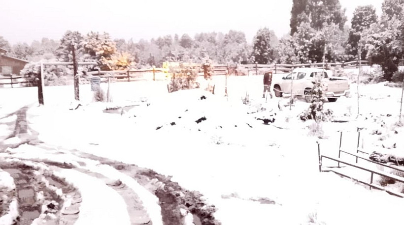 Nieve cayó en Alerce y Puerto Varas y colegio suspendió clases Nieve cayó en Alerce y Puerto Varas y colegio suspendió clases