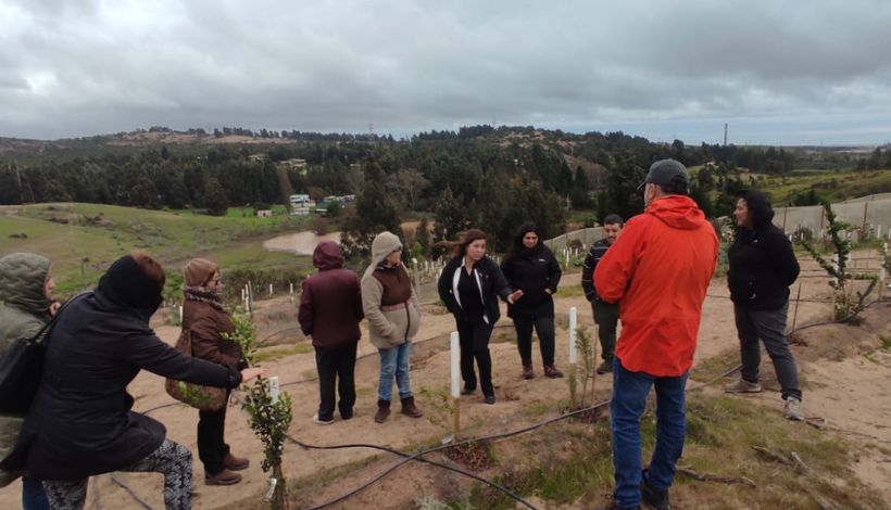 Mujeres fortalecen la recuperación ambiental en Quintero Mujeres fortalecen la recuperación ambiental en Quintero