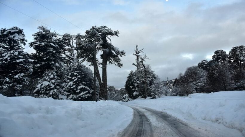 Cerca de 140 personas se encuentran aisladas en Cunco y Villarrica a raíz de las nevadas Cerca de 140 personas se encuentran aisladas en Cunco y Villarrica a raíz de las nevadas