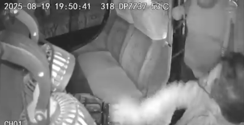 Quilpué: decretan prisión preventiva para imputado por homicidio frustrado contra chofer de micro Quilpué: decretan prisión preventiva para imputado por homicidio frustrado contra chofer de micro
