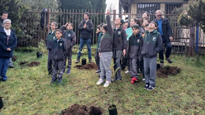 Inauguran campaña de plantación de árboles en la Escuela Alerce Histórico Inauguran campaña de plantación de árboles en la Escuela Alerce Histórico