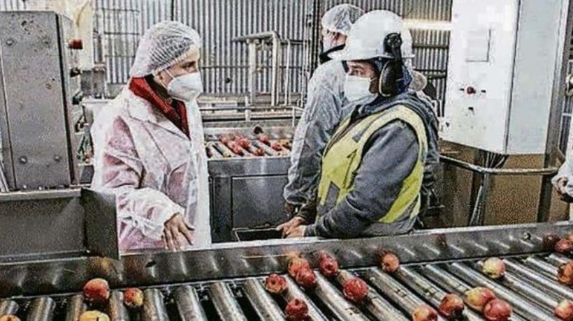 Ñuble: exportaciones del sector industrial registran caída de casi el 20% en junio