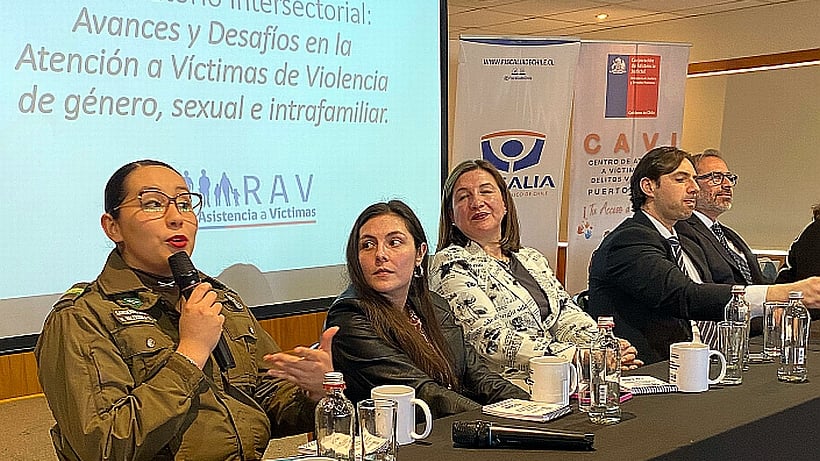 Alza de denuncias por VIF motivó creación de un nuevo programa en Puerto Varas