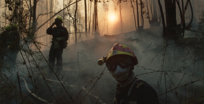 Cinco documentales chilenos llegan al streaming con estrenos en Vimeo On Demand Cinco documentales chilenos llegan al streaming con estrenos en Vimeo On Demand