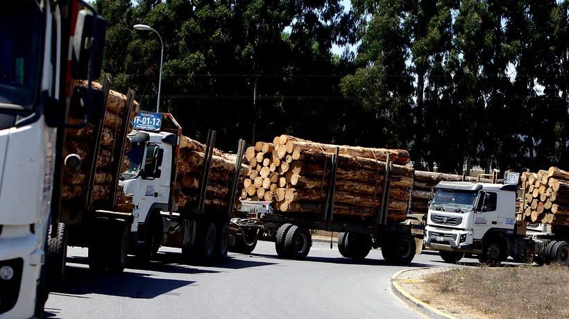 Gremio de conductores forestales criticó labor de Fuerzas Armadas en la Macrozona Sur Gremio de conductores forestales criticó labor de Fuerzas Armadas en la Macrozona Sur