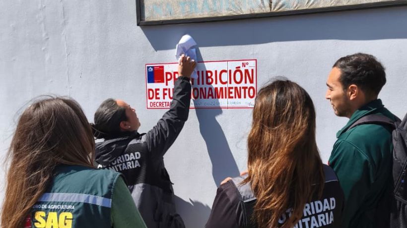 Clausuran carnicería en Tocopilla tras detectar graves deficiencias sanitarias: Heces de roedor fueron halladas Clausuran carnicería en Tocopilla tras detectar graves deficiencias sanitarias: Heces de roedor fueron halladas