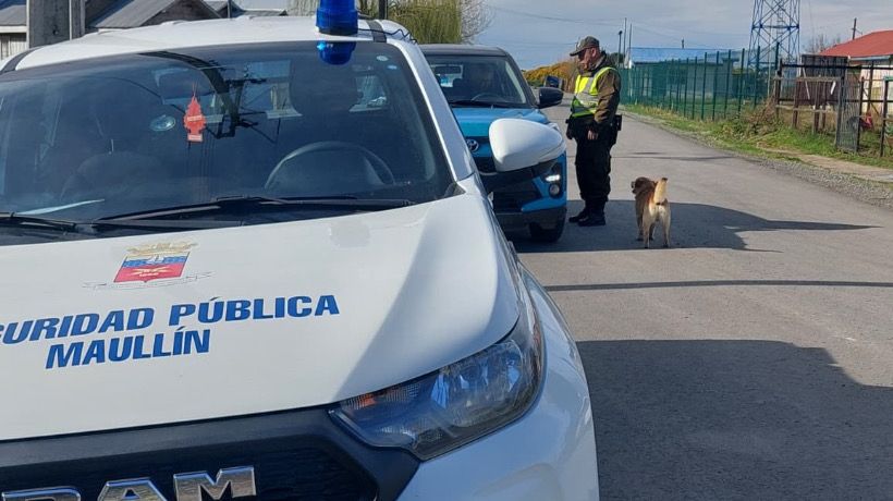 Maullín refuerza su seguridad comunal con patrullajes conjuntos entre Carabineros y Seguridad Pública Maullín refuerza su seguridad comunal con patrullajes conjuntos entre Carabineros y Seguridad Pública