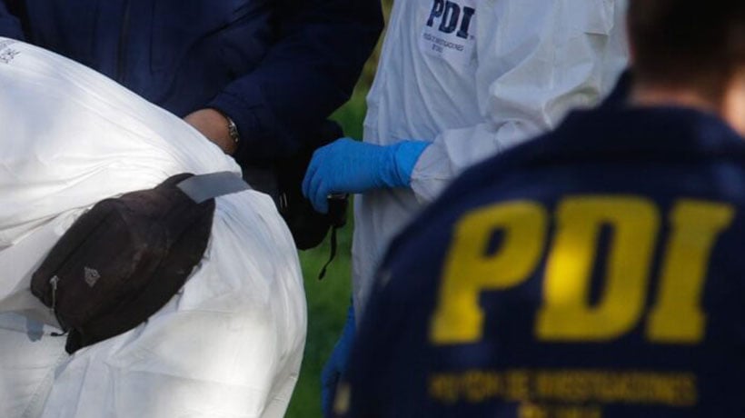 Perro encuentra osamenta humana en sector que fue arrasado por el megaincendio en Viña Perro encuentra osamenta humana en sector que fue arrasado por el megaincendio en Viña