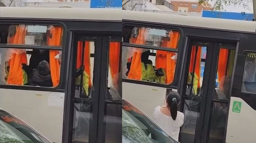 [VIDEO] Hombre ataca con un fierro a chofer y provoca daños a una micro en Viña