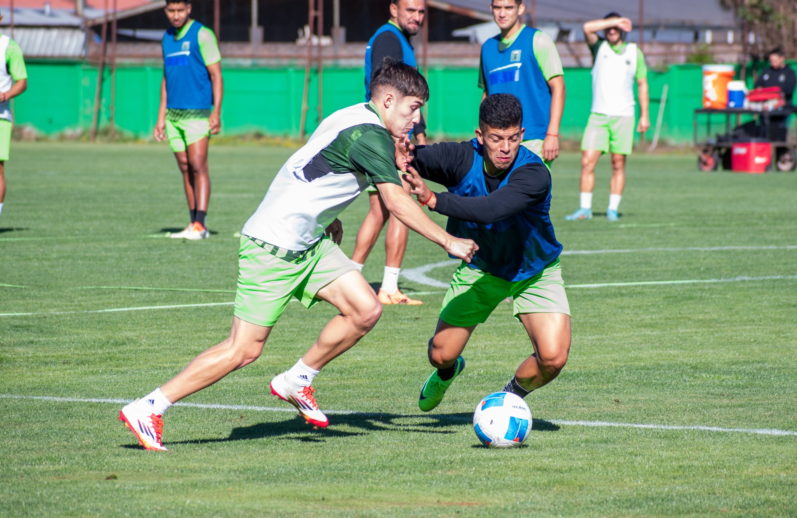 Deportes Temuco enfrenta esta tarde a Curicó Unido