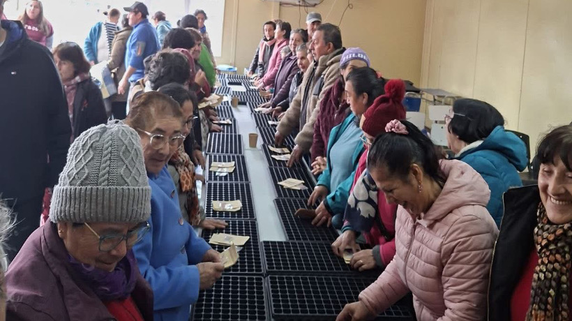 Agricultores de Curaco de Vélez participaron en taller de elaboración de almácigos Agricultores de Curaco de Vélez participaron en taller de elaboración de almácigos