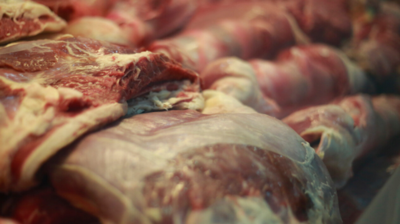 Seremi de Salud ha decomisado en La Araucanía más de 5.650 kilos de carne de cara a Fiestas Patrias Seremi de Salud ha decomisado en La Araucanía más de 5.650 kilos de carne de cara a Fiestas Patrias