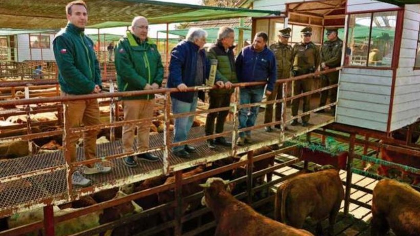 Fortalecen controles y fiscalizaciones debido a las Fiestas Patrias en Ñuble Fortalecen controles y fiscalizaciones debido a las Fiestas Patrias en Ñuble