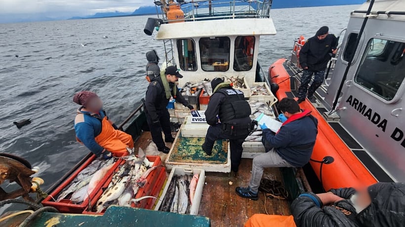 Detectaron siete lanchas en pesca ilegal en el golfo de Ancud Detectaron siete lanchas en pesca ilegal en el golfo de Ancud