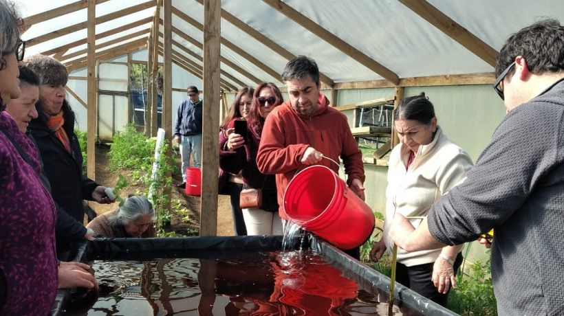 Usuarios de Prodesal en Puerto Montt reciben capacitación para potenciar la agricultura sustentable