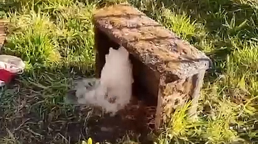 Denunciaron nuevos robos de medidores de agua a vecinos de Alerce Norte Denunciaron nuevos robos de medidores de agua a vecinos de Alerce Norte