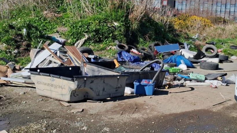 Municipalidad de Puerto Montt realizó operativo de limpieza en parque San Andrés