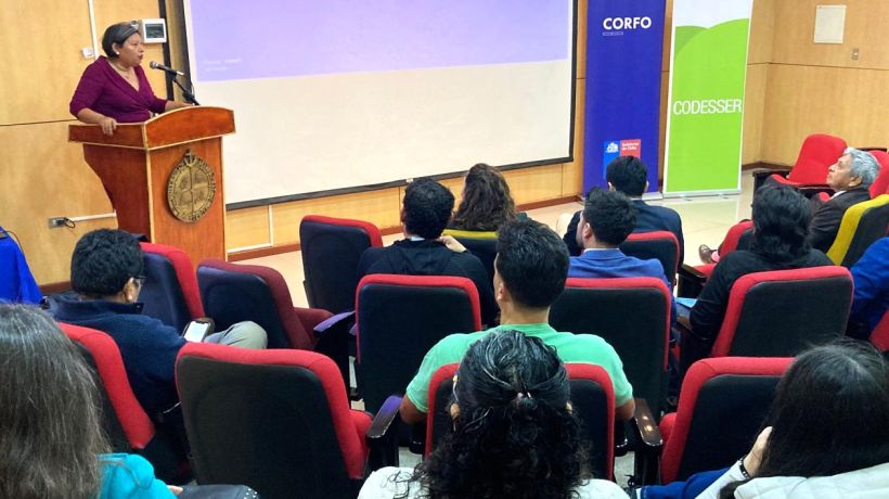 Certifican a 30 emprendedores en programa “Revolución Verde” en Tarapacá