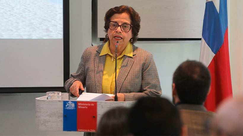 Ministra Williams: "Chile produce de manera responsable y, por lo tanto, los estándares hay que mantenerlos y aumentarlos" Ministra Williams: "Chile produce de manera responsable y, por lo tanto, los estándares hay que mantenerlos y aumentarlos"