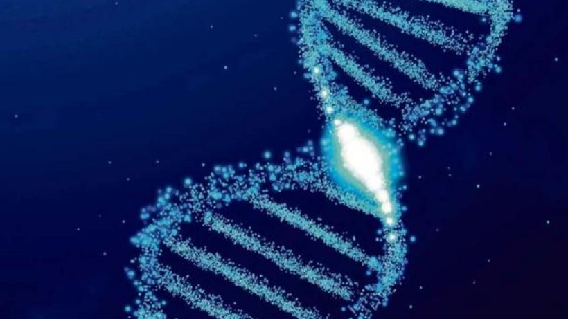 "1000 Genomas" busca secuenciar el ADN de la biodiversidad chilena "1000 Genomas" busca secuenciar el ADN de la biodiversidad chilena