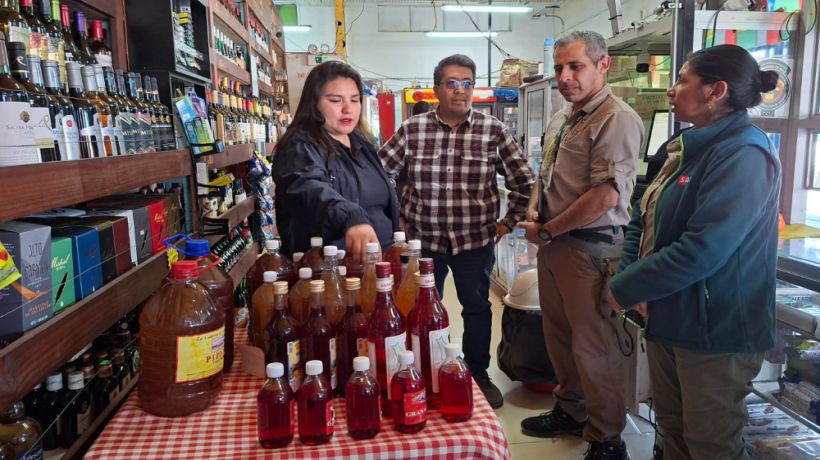 Refuerzan fiscalizaciones por Fiestas Patrias en la Provincia del Tamarugal Refuerzan fiscalizaciones por Fiestas Patrias en la Provincia del Tamarugal