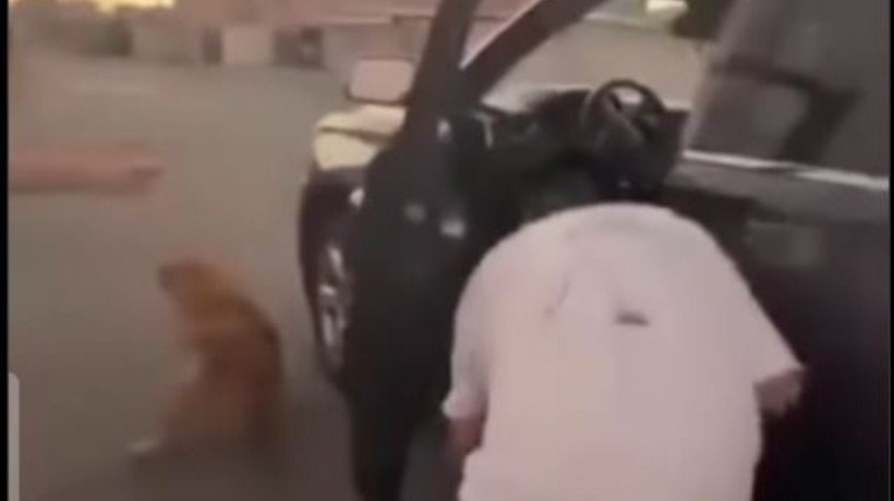 Conductor acusado de arrastrar con su vehículo a un perro en Calama fue detenido por Carabineros Conductor acusado de arrastrar con su vehículo a un perro en Calama fue detenido por Carabineros