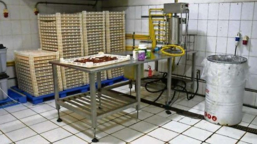 Aprueban 8 proyectos para impulsar la innovación en Ñuble