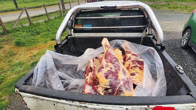 Más de 275 kilos de carne incautaron en Casma: hay un detenido Más de 275 kilos de carne incautaron en Casma: hay un detenido