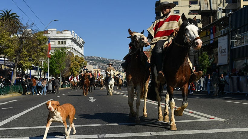[GALERÍA] Fiestas Patrias: las postales que dejó el tradicional desfile cívico militar en Valparaíso