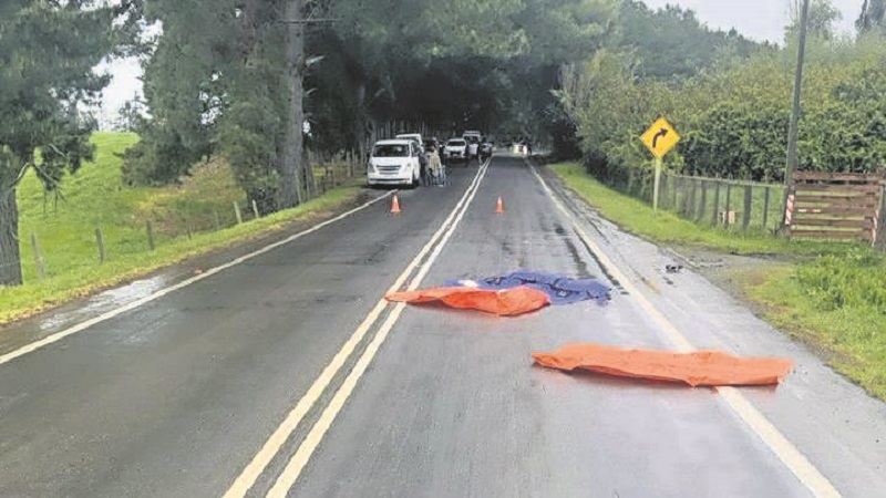 La Unión: un peatón falleció atropellado en camino  a Trumao