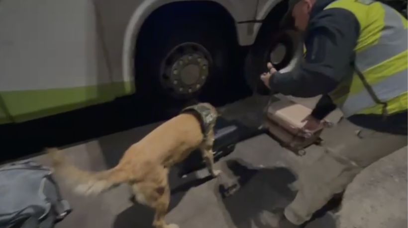 Durante Fiestas Patrias: Detienen a pasajero con droga en bus interurbano hacia Antofagasta