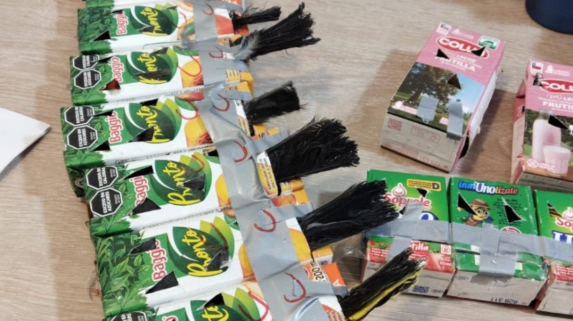 Incautan 50 aves escondidas en cajas de jugo en Los Libertadores: 17 murieron asfixiadas
