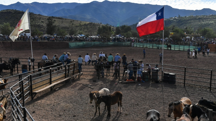 [GALERÍA] Así se vivió la Fiesta Huasa &quot;Sahondé&quot; en Putaendo