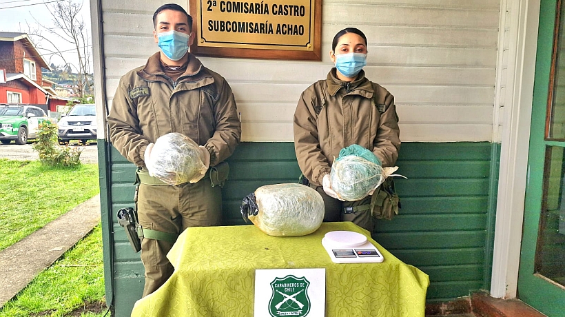 SIP de Carabineros asestó inédito decomiso de marihuana en Achao SIP de Carabineros asestó inédito decomiso de marihuana en Achao